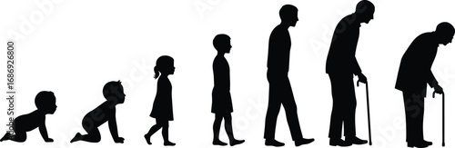 Human life stages silhouette evolution from baby to elderly with cane, growth aging cycle vector for education, health, psychology, and design