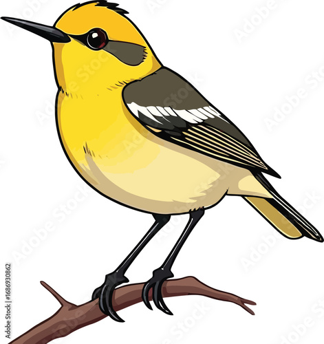 Cute cartoon a illustrator vector warbler