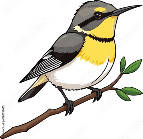 Cute cartoon a illustrator vector warbler