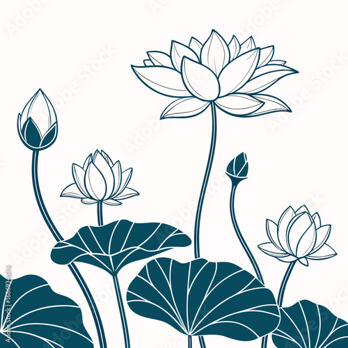 Elegant dark blue line art lotus flowers and buds with broad leaves on a white background