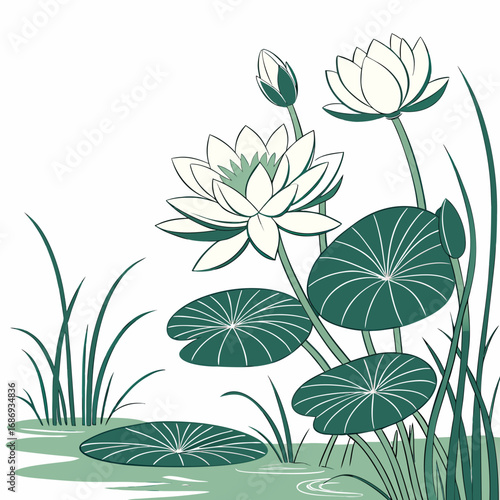 Elegant illustration of white water lilies and lily pads in a serene pond with tall grass