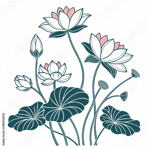 Elegant line art illustration of blooming lotus flowers and pads in teal and pink hues