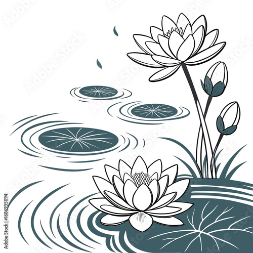 Elegant line art illustration of water lilies and lily pads on a tranquil pond surface