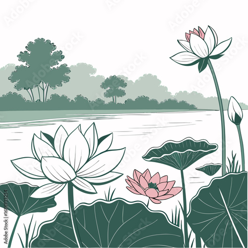 Serene pond landscape with blooming pink and white lotus flowers and lush green foliage