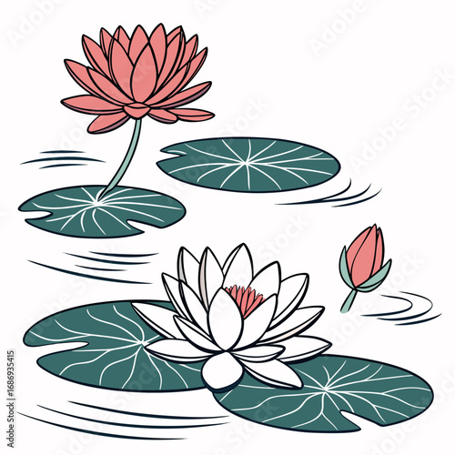 Stylized illustration of pink and white water lilies with green lily pads floating on water