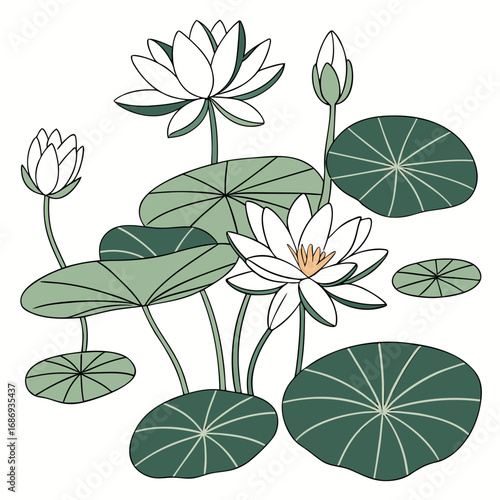 Stylized illustration of white water lilies and green lily pads on a white background