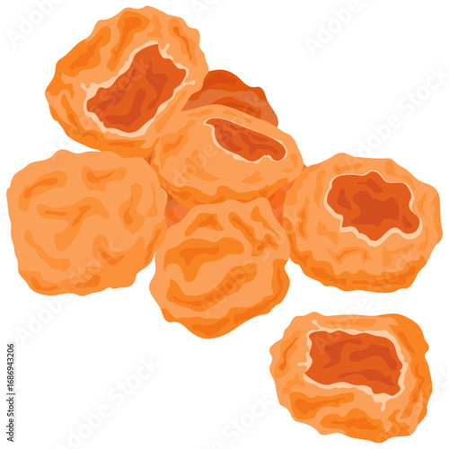 dried longan vector illustration drawing.