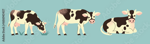 Set of cows different poses standing, grazing, and lying down cute farm. Dairy farming and agriculture concept. Flat vector illustration.