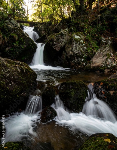 Cascading waterfall in a mossy forest