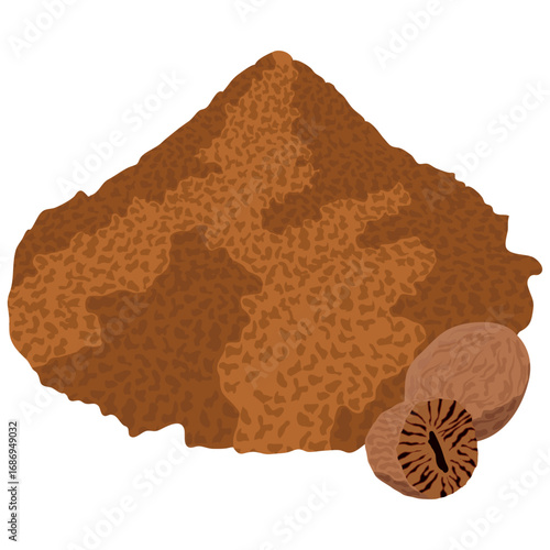 nutmeg powder vector illustration drawing.