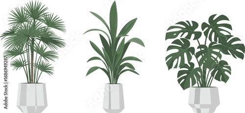 Modern indoor plant illustration set, tropical potted plants Monstera, palm, areca, vector greenery design for home decor and interiors