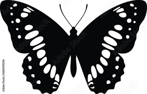 admiral butterfly insect icon in elegant vector silhouette with detailed wing patterns isolated on white background