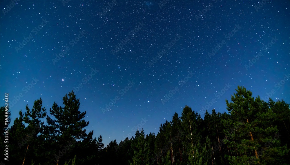 Naklejka premium Starry night over a dark forest