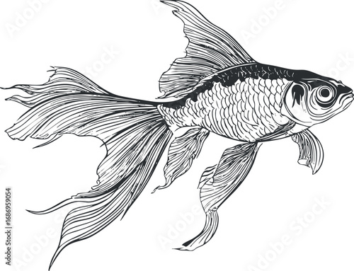 Black and white line art illustration of a detailed goldfish with flowing fins and tail swimming