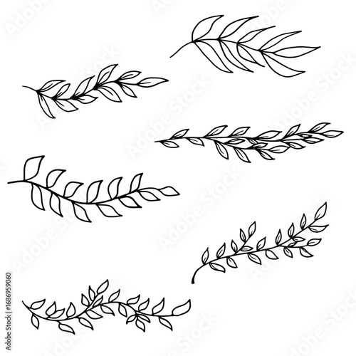 Graceful twigs black and white sketch. Vector illustration. Floral botanical drawing, set of silhouettes isolated on white background. For postcards, wedding invitations, advertising and blog design
