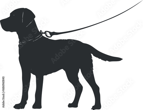 Silhouette of a dog on a leash standing in profile view with collar and tail raised