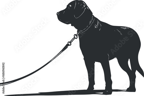 Silhouette of a dog standing with a leash attached to its collar on a white background.