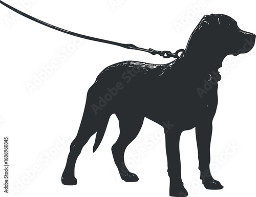 Silhouette of a dog standing on a leash with a collar, side view, isolated on white background