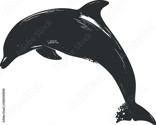 Black and white illustration of a dolphin jumping representing marine wildlife and ocean life