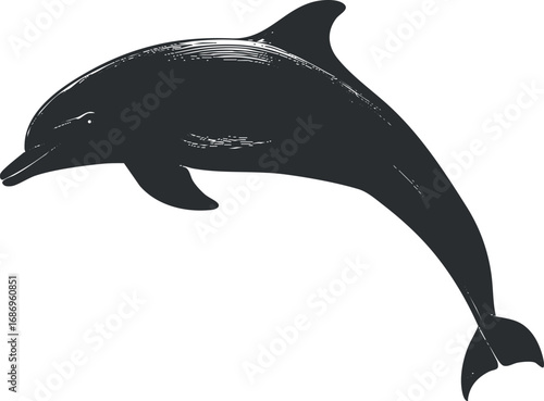 Silhouette illustration of a dolphin swimming in the ocean, representing marine wildlife and aquatic nature