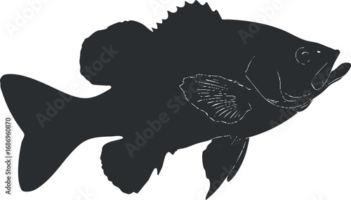Silhouette of a fish isolated on a white background representing aquatic marine life and fishing