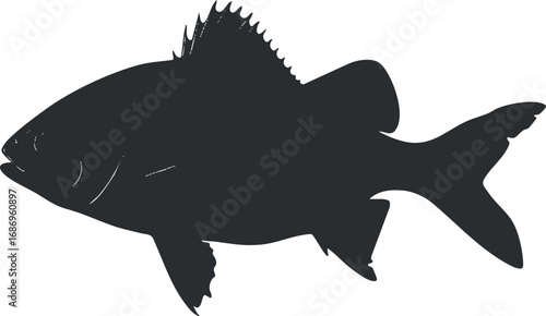 Silhouette of a fish showing detailed fins and body shape isolated on white background.