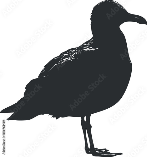Silhouette of a seagull bird standing on one leg with detailed feathers and beak visible