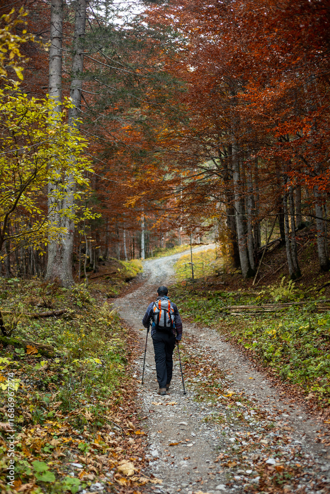 Obraz premium A hiker walks on a mountain trail in autumn, surrounded by the warm colors of the foliage. The image evokes the pleasure of solitary walks in nature.