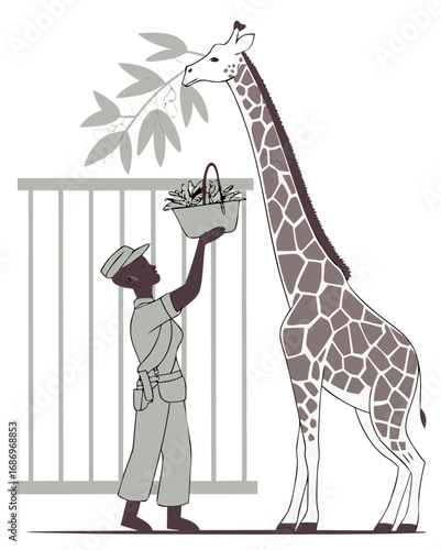 vector of a zookeeper holding a basket of leaves, feeding a tall giraffe inside enclosure, clean style on white
