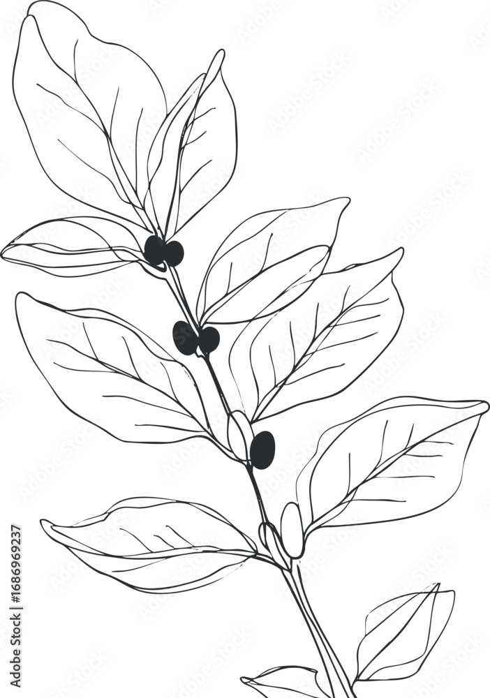Naklejka premium Black and white line drawing of a botanical branch with leaves and berries in simple outline style
