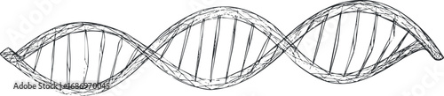 Hand drawn sketch of a DNA double helix structure representing genetics and molecular biology concepts