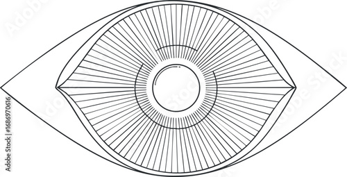 Black and white line art illustration of a human eye with detailed iris and pupil design