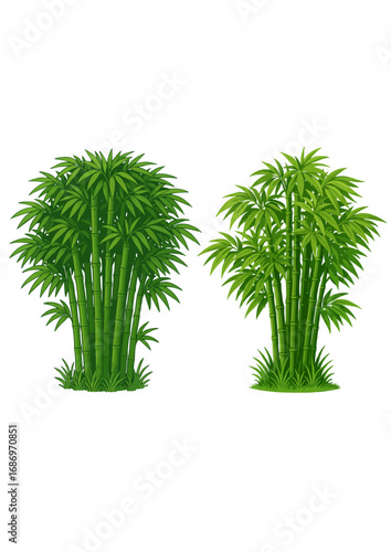 Illustration of Lush Bamboo Grove with Grass
