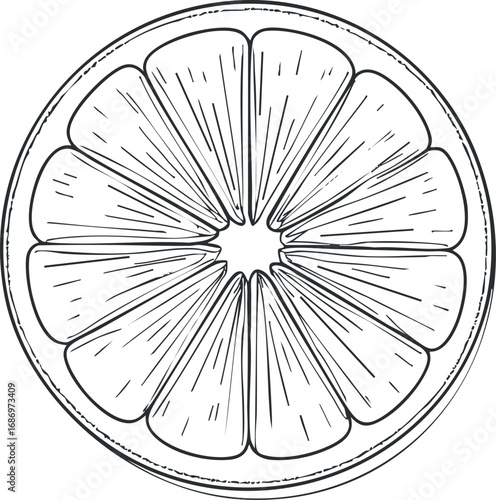 Black and white line drawing of a citrus fruit slice showing detailed segments and rind outline