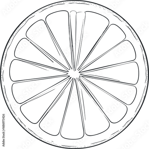 Black and white line drawing of a citrus fruit slice showing detailed segments and rind texture