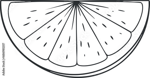 Black and white line art illustration of a lemon slice showing detailed pulp and rind