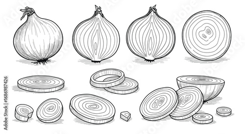Fresh organic allium cepa vegetables displayed in different styles and cuts ready for culinary use