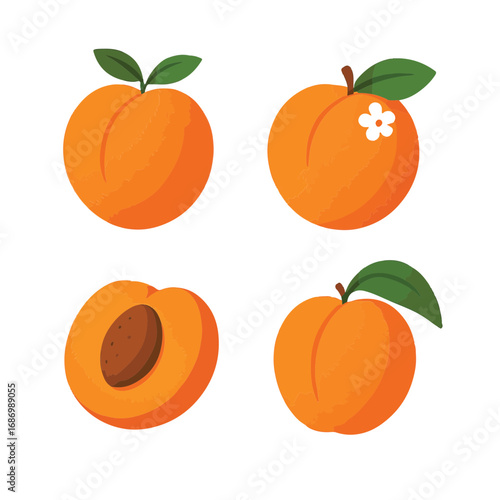 Peach varieties: A visually appealing array showcasing the deliciousness of peaches, capturing the vibrant colours and textures of ripe fruit, perfect for evoking feelings of freshness and enjoyment.