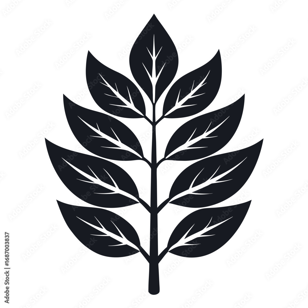 Fototapeta premium Elegant ash leaf silhouette on a clean white background