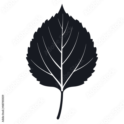 Single aspen leaf silhouette on white background