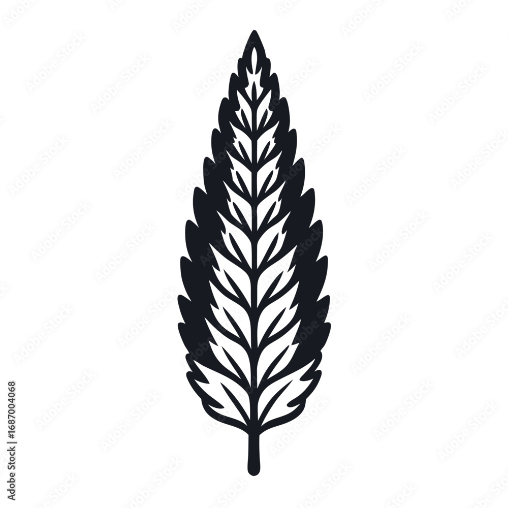 Fototapeta premium Simple cypress leaf outline on white background