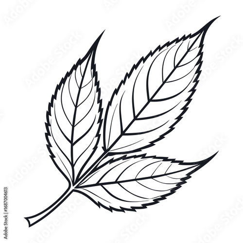 Neem tree outline illustration on a white background