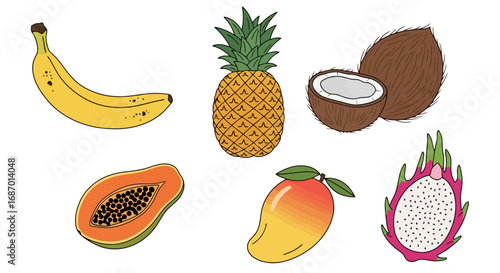 Collection of colorful tropical fruits illustration including banana, pineapple, coconut, papaya, mango, and dragon fruit for culinary and healthy lifestyle projects.