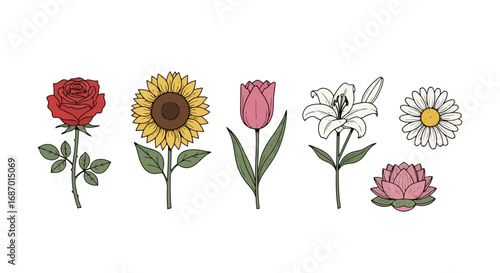 Collection of diverse floral illustrations featuring roses, sunflowers, tulips, lilies, daisies, and lotus flowers, suitable for botanical studies and design applications