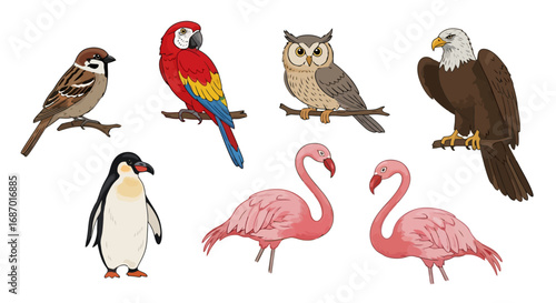 Diverse collection of bird illustrations featuring sparrow, macaw, owl, eagle, penguin, and flamingos suitable for educational resources and nature-themed design projects.