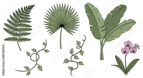 Botanical illustration set featuring diverse plant species, perfect for botanical studies and creating patterns for textile design and digital backgrounds.