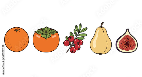 Assorted fruits and berries illustration for healthy eating and nutrition education, suitable for dietary guides, cookbooks, or educational materials on vitamins and balanced diets.