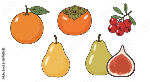 Assorted fresh fruits vector illustration featuring vibrant colors and detailed outlines, ideal for nutrition education, healthy eating campaigns, or culinary design projects.
