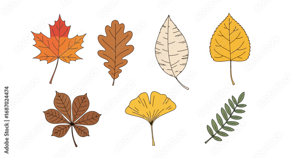 Obraz premium Autumnal leaf illustrations in various shapes and colors for educational resources, seasonal design projects, and botanical studies to enhance art projects.