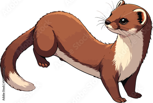 Cute cartoon a illustrator vector weasel